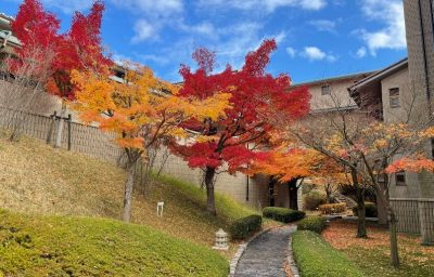 Kyoto Wandering