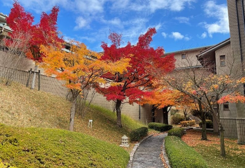 京都放浪